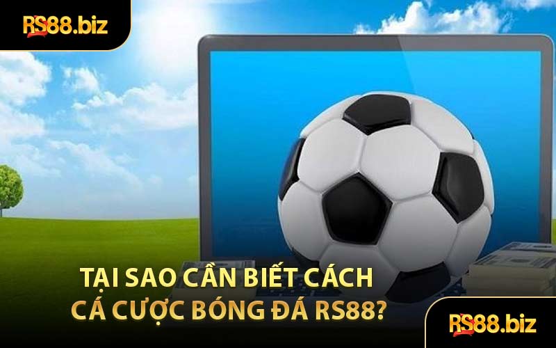 Cá Cược Bóng Đá - Sân Chơi Đem Đến Nhiều Kèo Thơm
