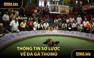Tin Tức RS88 - Cập Nhật Tin Tức Hot Mỗi Ngày
